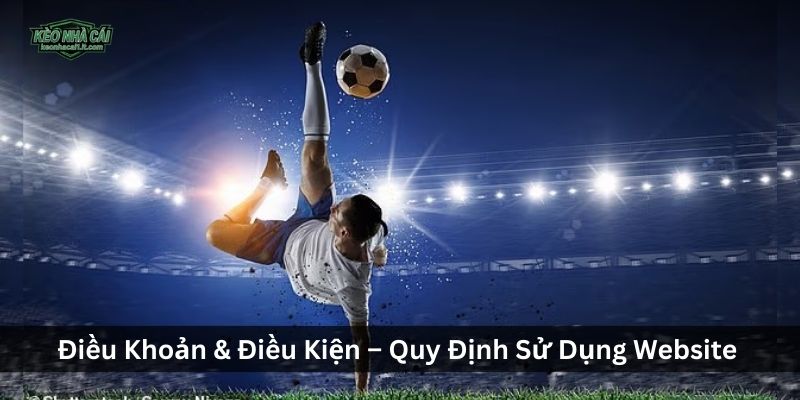 Điều Khoản & Điều Kiện – Quy Định Sử Dụng Website
