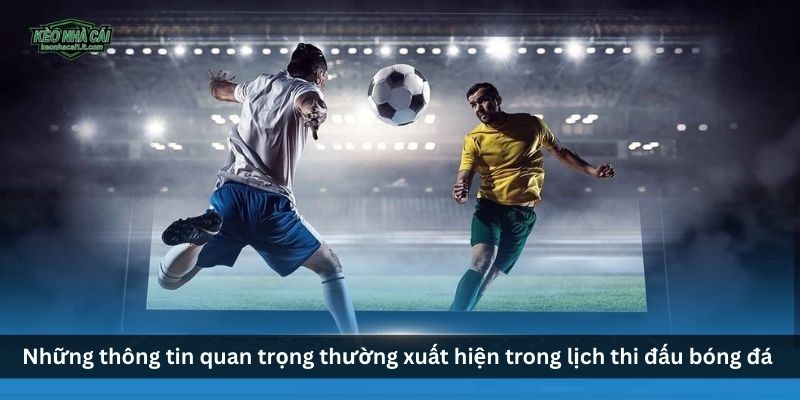 Những thông tin quan trọng thường xuất hiện trong lịch thi đấu bóng đá