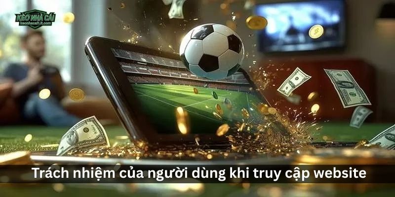 Trách nhiệm của người dùng khi truy cập website