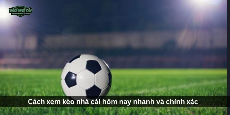 Cách xem kèo nhà cái hôm nay nhanh và chính xác