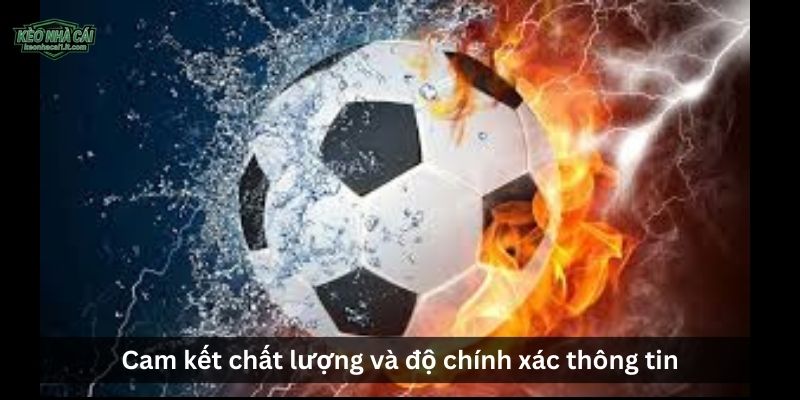 Cam kết chất lượng và độ chính xác thông tin